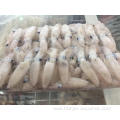 Hot sale Top class baby squid Loligo Japonica